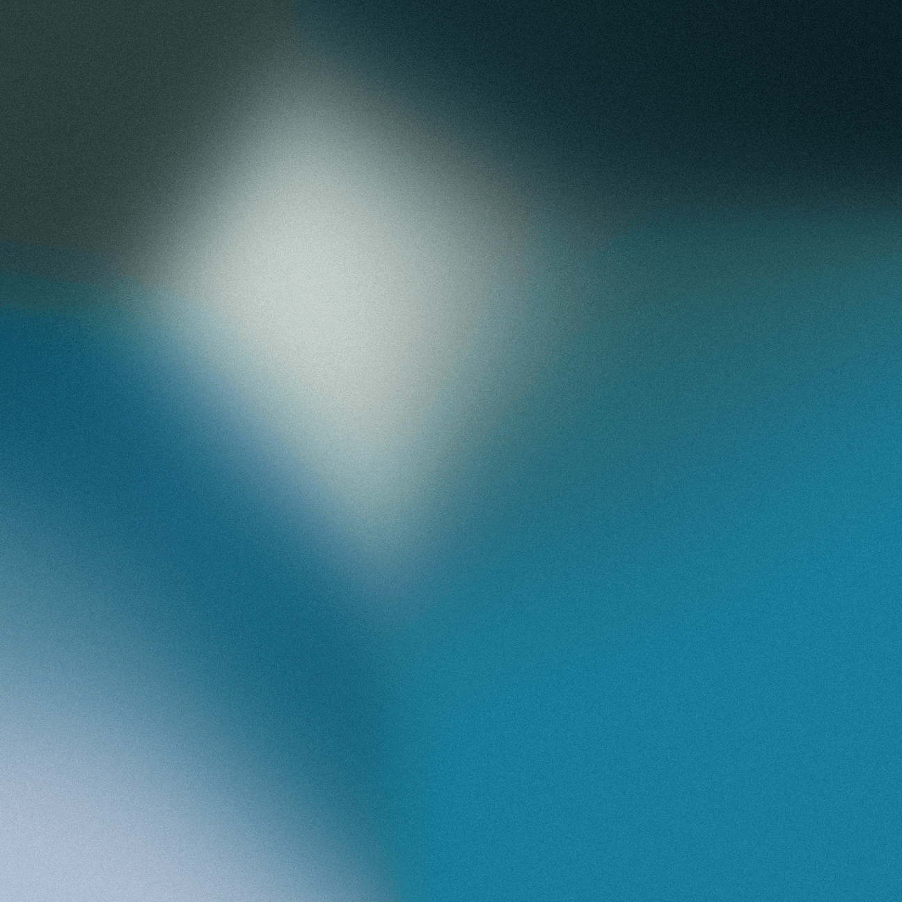 Buildex